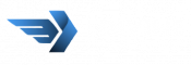 divinetransportlogofrisss (1)